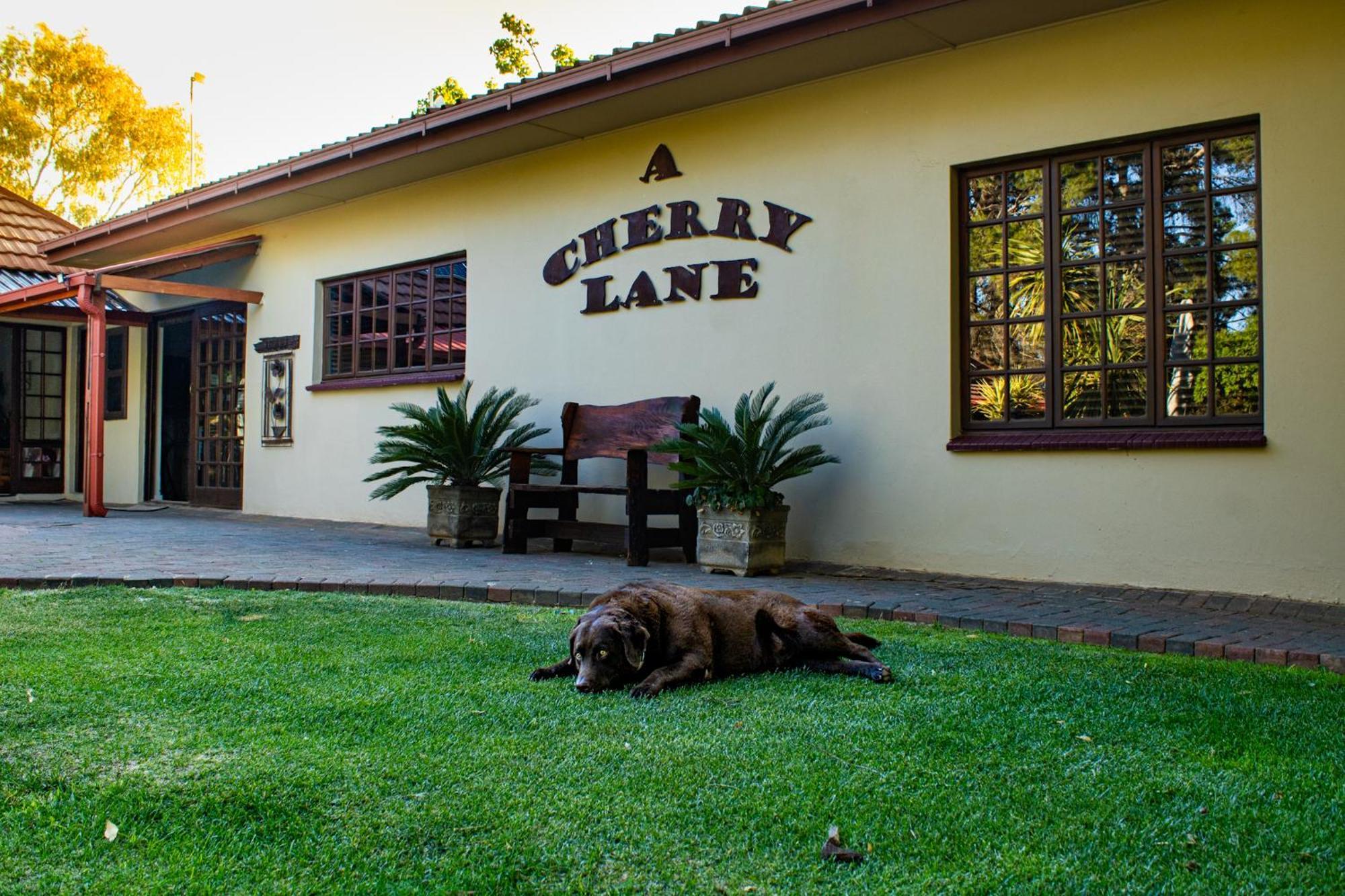 בלומפונטייין A Cherry Lane Self Catering And B&B מראה חיצוני תמונה