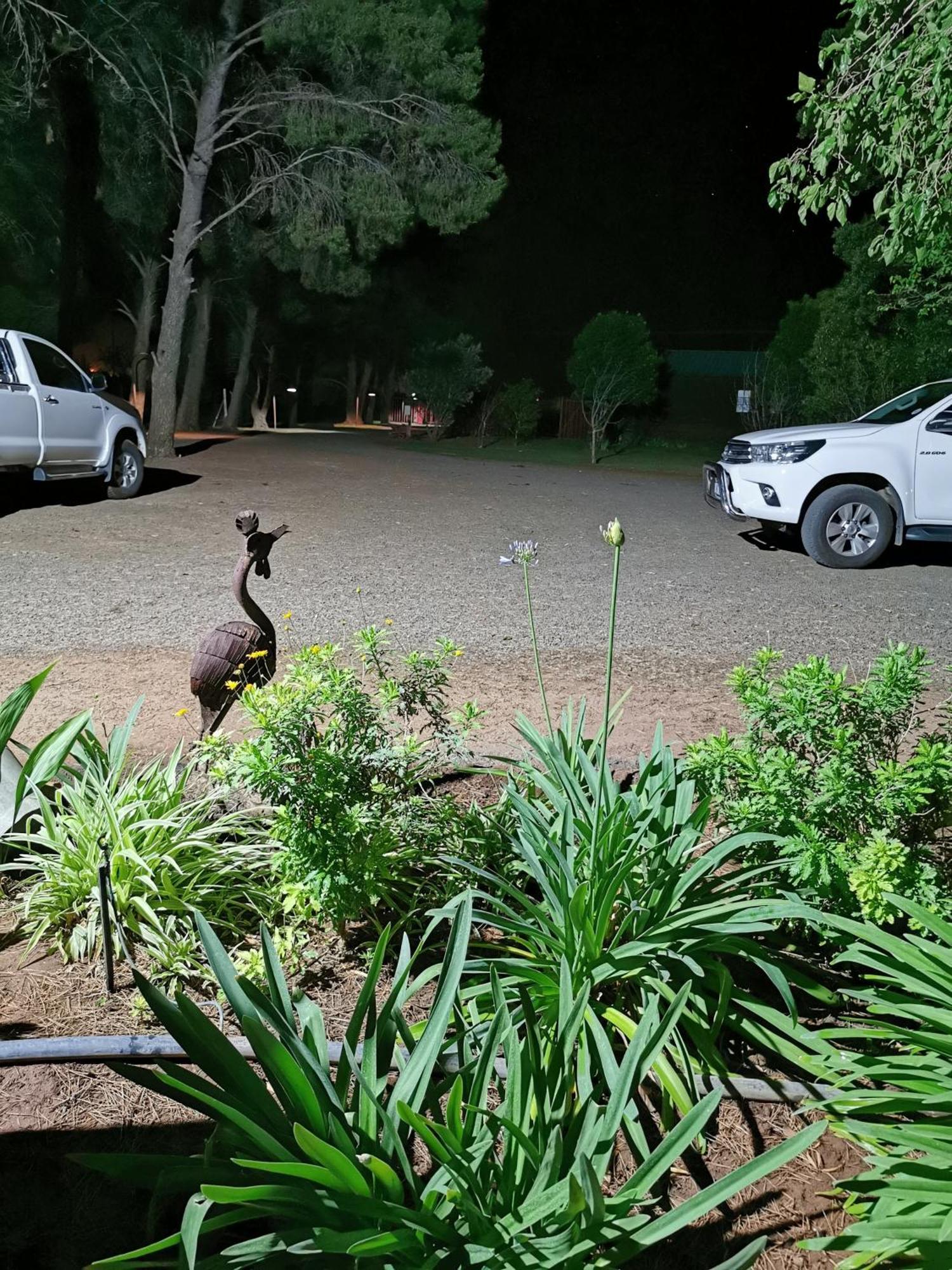 בלומפונטייין A Cherry Lane Self Catering And B&B מראה חיצוני תמונה